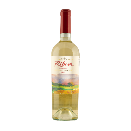 Botella de Ribera Reserva Sauvignon Blanc